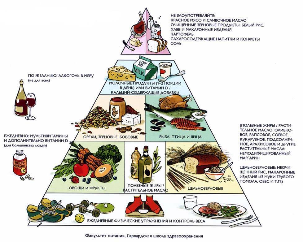 Пирамида здорового питания